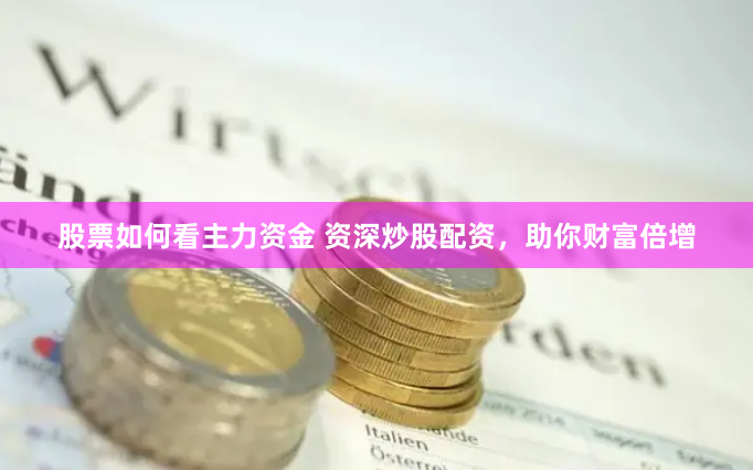 股票如何看主力资金 资深炒股配资，助你财富倍增