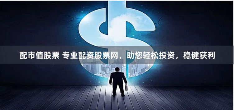 配市值股票 专业配资股票网，助您轻松投资，稳健获利