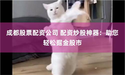 成都股票配资公司 配资炒股神器：助您轻松掘金股市