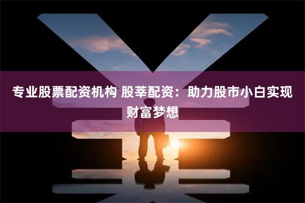 专业股票配资机构 股莘配资：助力股市小白实现财富梦想