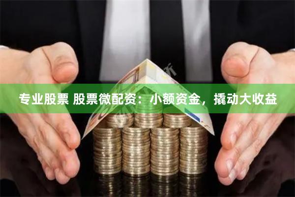 专业股票 股票微配资：小额资金，撬动大收益