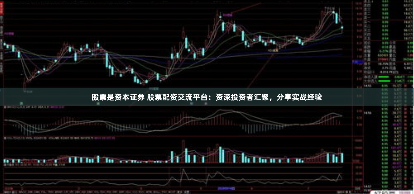 股票是资本证券 股票配资交流平台：资深投资者汇聚，分享实战经验