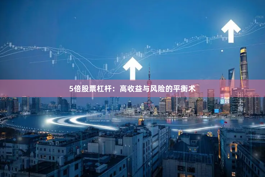 5倍股票杠杆：高收益与风险的平衡术